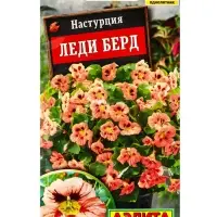Семена цветов Настурция Леди берд , Ц/П,1 г Семена цветов Настурция Леди берд , Ц/П,1 г