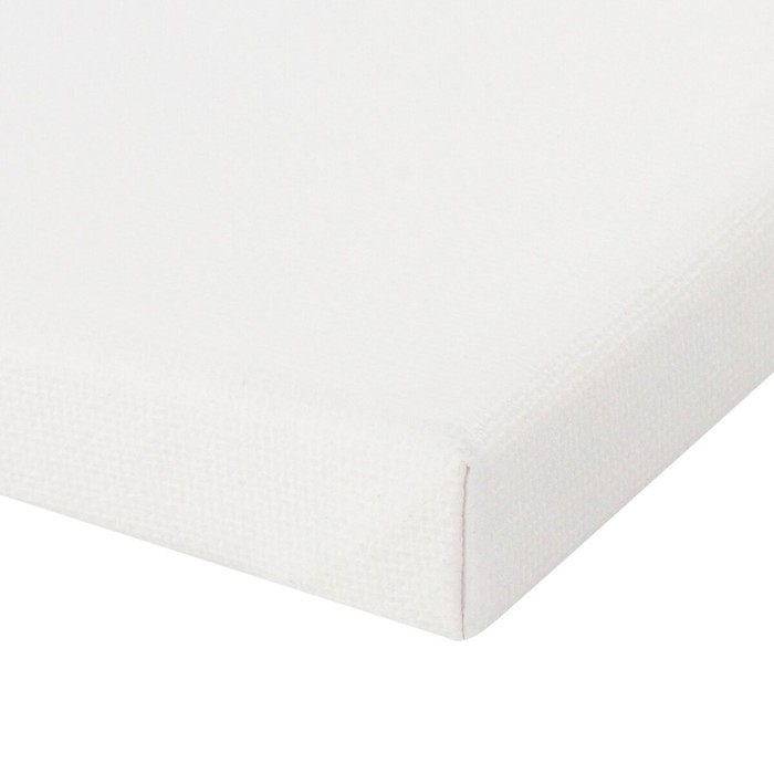 Холст на подрамнике BRAUBERG ART DEBUT, 20 х 30 см, 280 г/м2, грунт, 100% хлопок, мелкое зерно (191641) Холст на подрамнике BRAUBERG ART DEBUT, 20 х 30 см, 280 г/м2, грунт, 100% хлопок, мелкое зерно (191641)