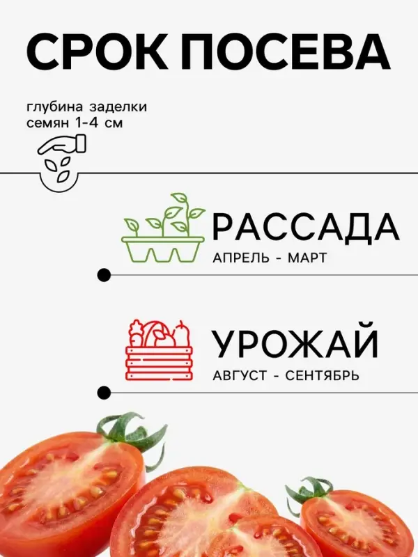 Семена Томат &laquo;Красная шляпка&raquo;, 0.08 г, &laquo;Агросс&raquo;