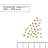 Семена Баклажан &laquo;Внучок&raquo;, 0.2 г, среднеспелый, грушевидный &laquo;Золотая Сотка Алтая&raquo;