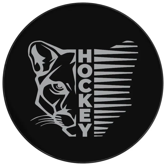 Шайба хоккейная Winter Star, взрослая, d=7.6 см