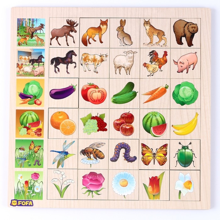 Ассоциация «Флора и фауна» Ассоциация «Флора и фауна»