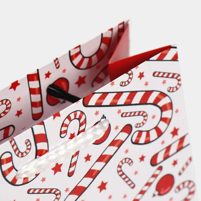 Пакет подарочный новогодний ламинированный «Зимняя история», S 12 х 15 х 5.5 см Пакет подарочный новогодний ламинированный «Зимняя история», S 12 х 15 х 5.5 см