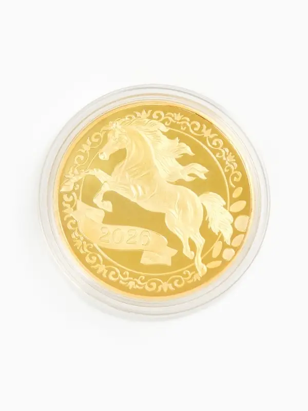 Монета новогодняя сувенирная «Талисман финансовой удачи», диам. 4 см Монета новогодняя сувенирная «Талисман финансовой удачи», диам. 4 см