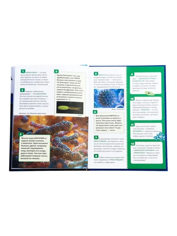 Энциклопедия российского школьника &laquo;Микромир&raquo;