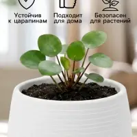 Горшок цветочный &laquo;Япония&raquo;, 1.2 л, d=16 см, h=14 см, пластиковый, бело-коричневый