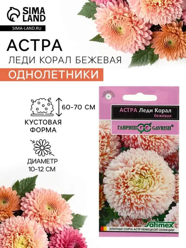 Семена цветов Астра &laquo;Леди Корал бежевая&raquo;, однолетняя, серия &laquo;Эксклюзив&raquo;, 0.05 г, &laquo;Гавриш&raquo;