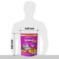 Сухой корм Whiskas для кошек, курица/индейка, подушечки, 800 г