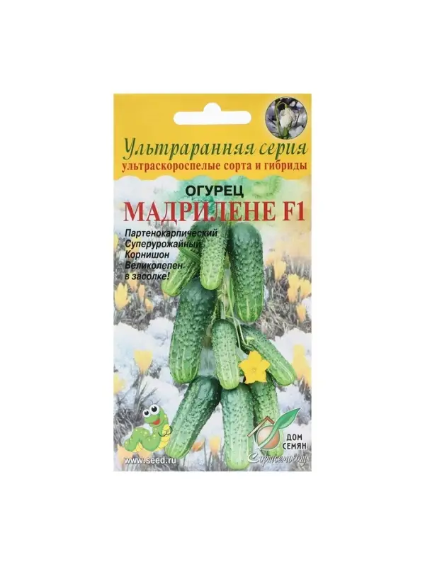 Семена Огурец "Мадрилене",  F1, 6 шт