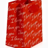 Пакет ламинированный Love you, 9 × 12 × 6,5 см Пакет ламинированный Love you, 9 × 12 × 6,5 см