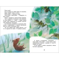 Книга детская &laquo;Рассказы и сказки о животных&raquo;, 96 стр., Бианки В.В.