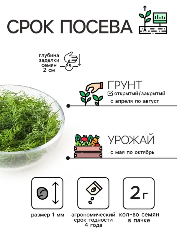 Семена Укроп «Супердукат ОЕ», 2 г Семена Укроп «Супердукат ОЕ», 2 г