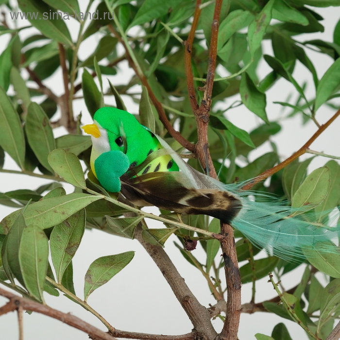 Птичка для декора и флористики, на прищепке, МИКС, пластиковая, 1шт., 8 х 8 см Птичка для декора и флористики, на прищепке, МИКС, пластиковая, 1шт., 8 х 8 см