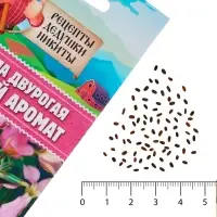 Семена цветов Маттиола двурогая "Вечерний аромат", смесь, 0,3 г Семена цветов Маттиола двурогая "Вечерний аромат", смесь, 0,3 г