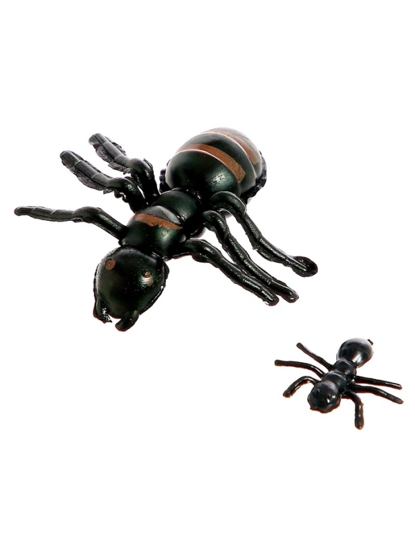 Набор насекомых «Муравьи»