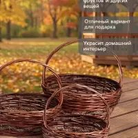 Корзина плетёная для хранения, лоза, с ручкой, овальная, коричневая, набор 3 шт.