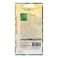 Семена цветов Хмель "Дружный", ц/п,  0,1 г Семена цветов Хмель "Дружный", ц/п,  0,1 г