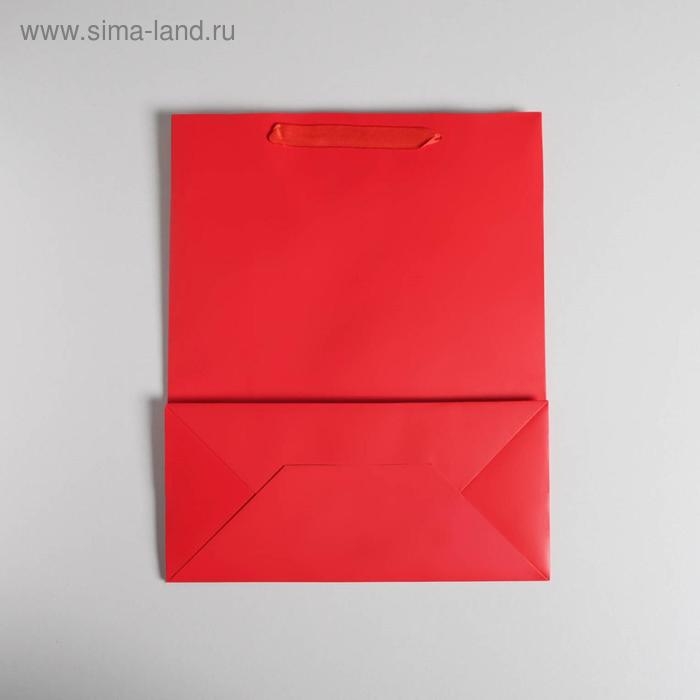 Пакет подарочный, упаковка, «Алый», 26 х 32 х 12 см Пакет подарочный, упаковка, «Алый», 26 х 32 х 12 см