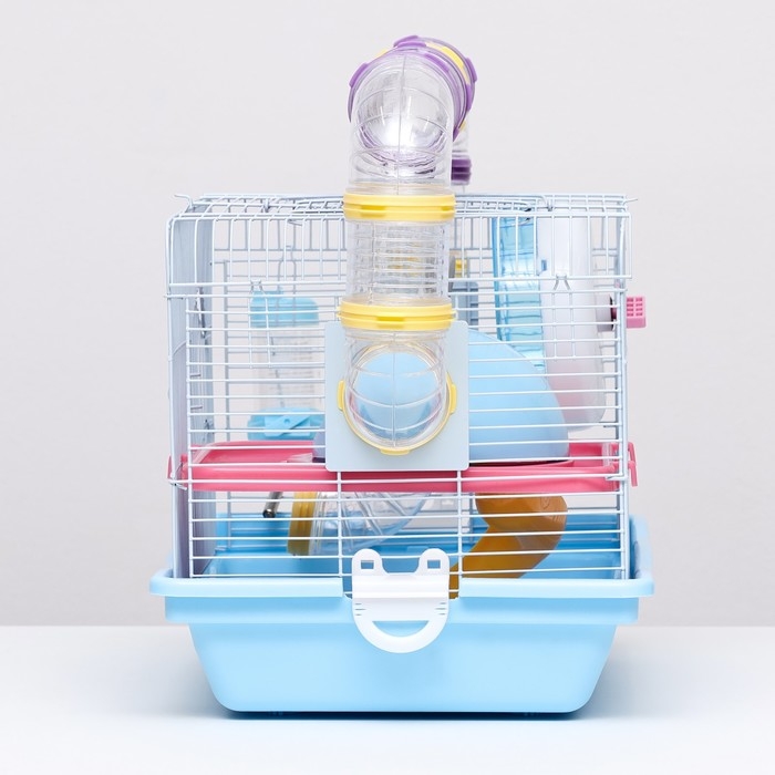 Клетка для грызунов Клетка для грызунов "Пижон", укомплектованная с туннелем, 37 х 27 х 30 см, синий