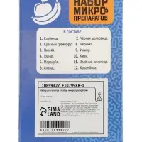 ЭВРИКИ Набор для опытов "Набор микропрепаратов", фрукты и ягоды