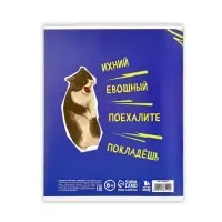 Тетрадь в линейку, предметная, 48 л.,на скрепке, А5 &laquo;Мемы. Русский язык&raquo;