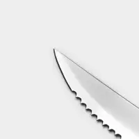 Нож для мяса Доляна &laquo;Страйп&raquo;, зубчатое лезвие 11.5 см, синий