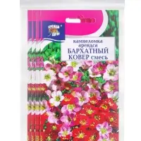 Набор семян Камнеломка "Бархатный ковер", 5 шт. Набор семян Камнеломка "Бархатный ковер", 5 шт.