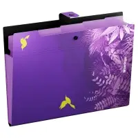 Папка А4, 5 отделений, Flower Art, 600 мкм, на кнопке, с рисунком