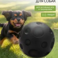 Игрушка для собак с пищалкой &laquo;Мячик планета&raquo;, 6.5 см, черная