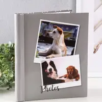 Фотоальбом 10 магнитных листов "Друзья" 23X28см, пер-т внутр.спираль Фотоальбом 10 магнитных листов "Друзья" 23X28см, пер-т внутр.спираль