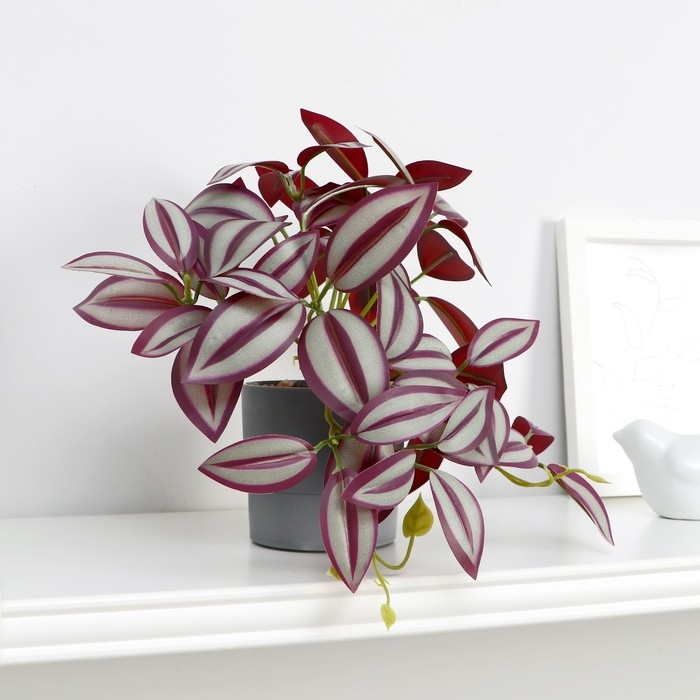 Бонсай в горшке Бонсай в горшке "Традесканция галант" 7,5х17 см