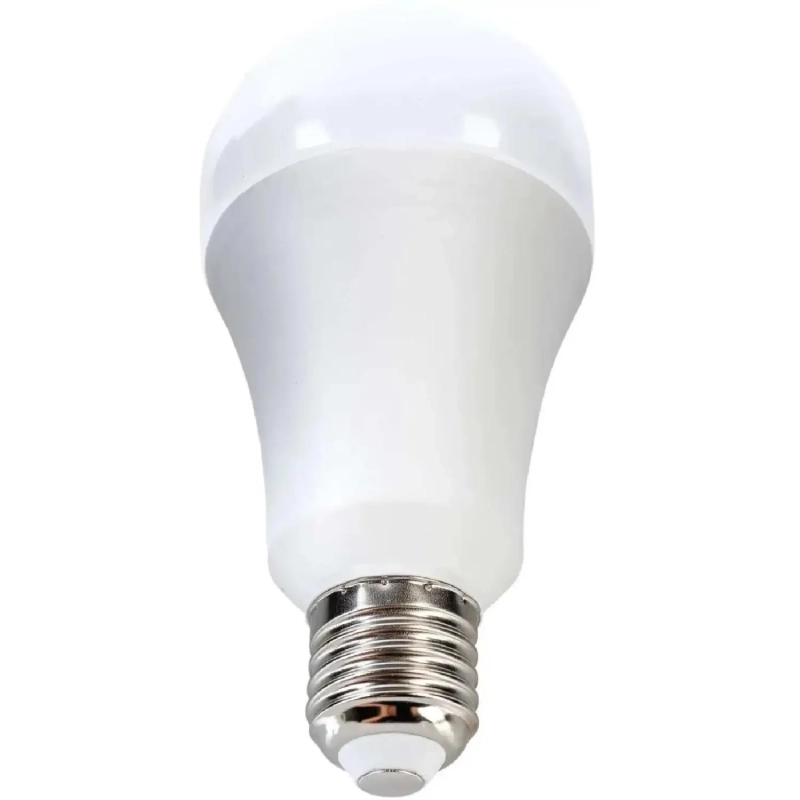 Лампа светодиодная Ergolux LED-A60-10W-E27-6500K Л