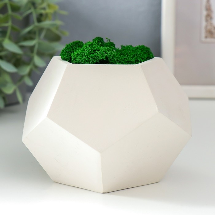 Кашпо бетонное  Кашпо бетонное "Пятиугольник" высота 8 см белое со мхом (мох зеленый стабилизированный)