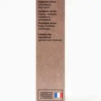 Туалетная вода мужская New Scent Blue Ray, 100 мл