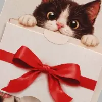 Открытка средняя с конвертом для денег &laquo;Послание для тебя&raquo;, 12&times;18 см, котёнок