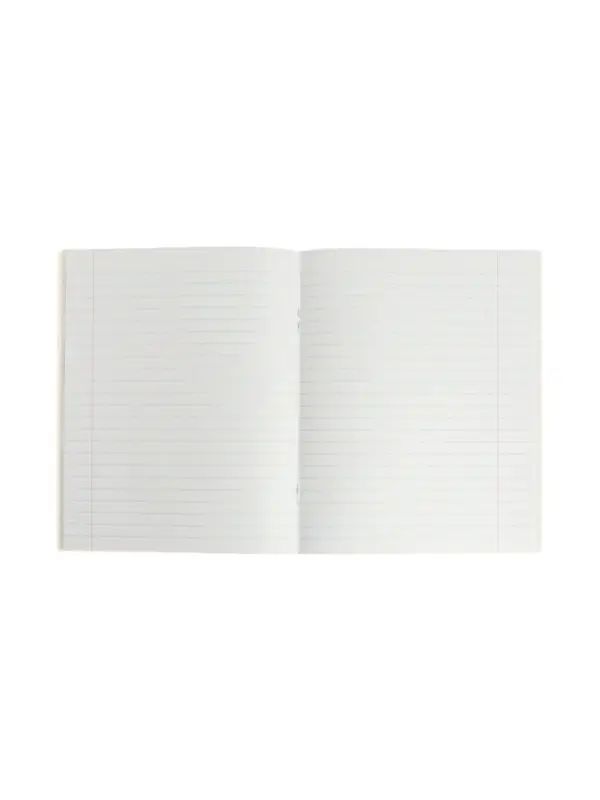 Тетрадь предметная 48 листов в линейку Calligrata &laquo;3D. Литература&raquo;, серые листы