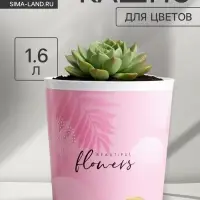 Кашпо для цветов Beautiful flowers, 1.6 л, d=14 см, h=14 см, пластиковое