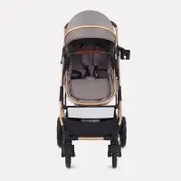 Коляска - трансформер детская RANT basic PULSAR GOLD (2в1) RA160, бежевый Коляска - трансформер детская RANT basic PULSAR GOLD (2в1) RA160, бежевый