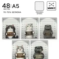 Тетрадь 48 листов в клетку Calligrata &laquo;Коты хулиганы&raquo;, блок №2, серые листы, обложка МИКС