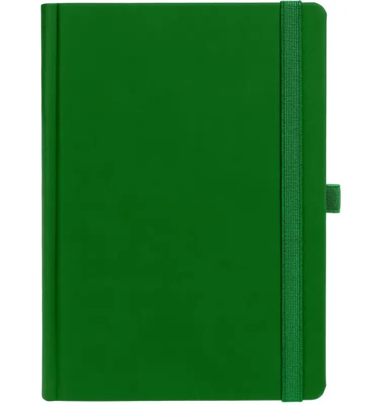 Ежедневник Favor, недатированный, ярко-зеленый Ежедневник Favor, недатированный, ярко-зеленый