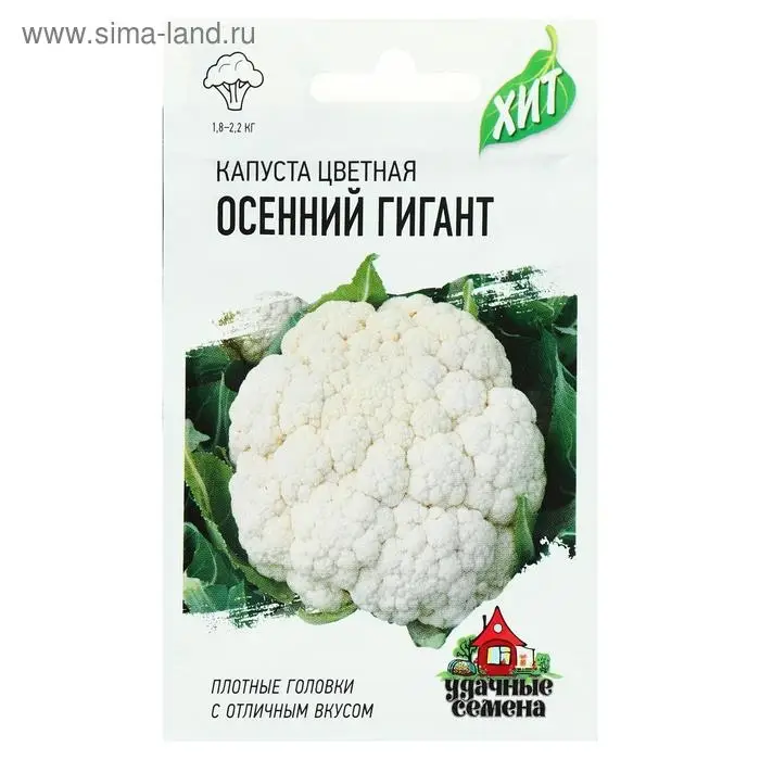 Семена Капуста цветная Семена Капуста цветная "Осенний гигант", ц/п, 0,1 г серия ХИТ х3