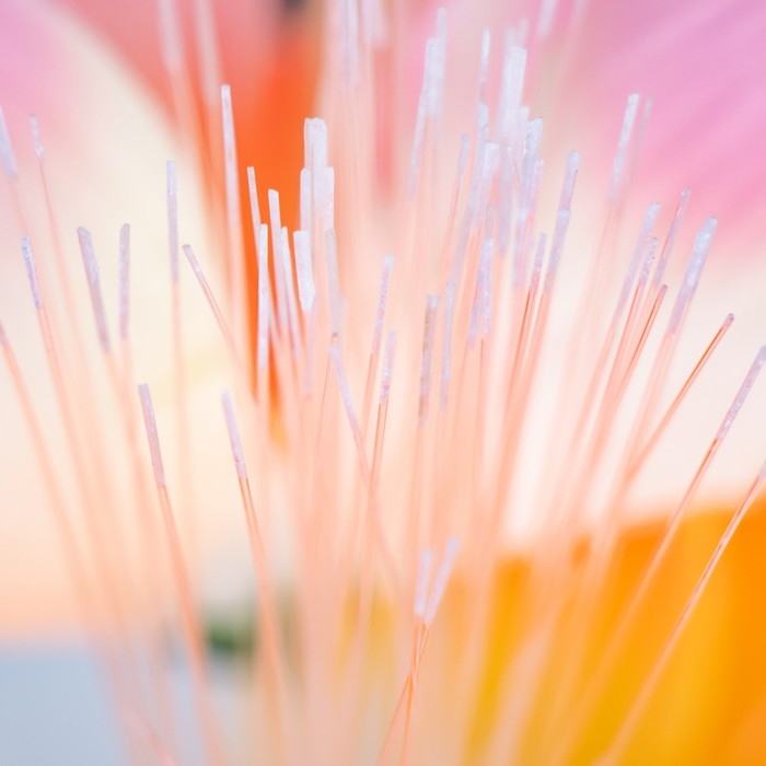 Ночник  Ночник "Яркие цветы" LED от батареек 3АА h=22 см МИКС RISALUX