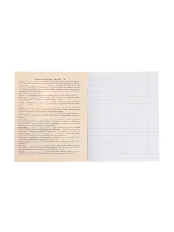 Тетрадь предметная 48 листов в линейку Calligrata, «Футбол. Литература», обложка мелованный картон Тетрадь предметная 48 листов в линейку Calligrata, «Футбол. Литература», обложка мелованный картон