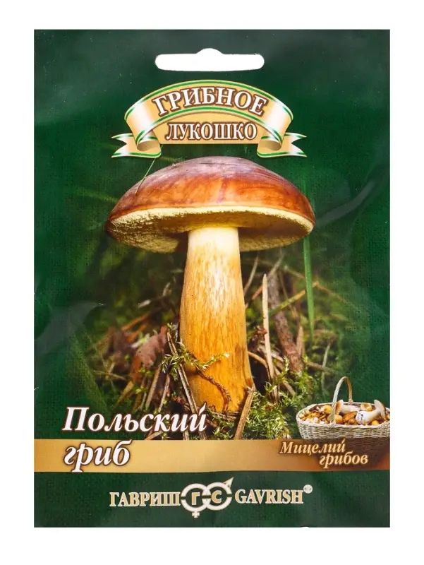 Мицелий грибов &laquo;Польский гриб&raquo;, на зерновом субстрате, 15 мл, &laquo;Гавриш&raquo;