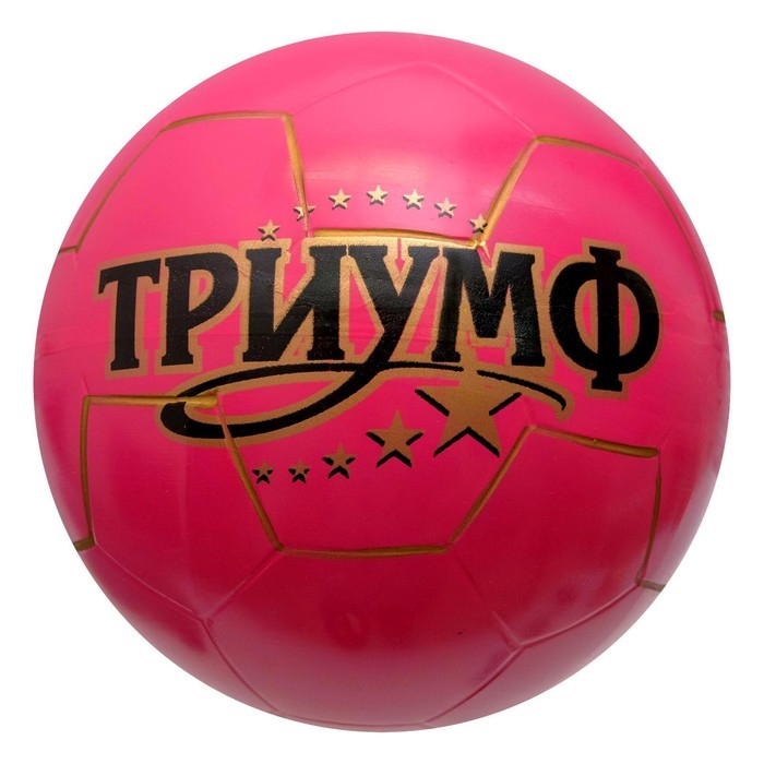 Мяч «Триумф», диаметр 200 мм, МИКС Мяч «Триумф», диаметр 200 мм, МИКС
