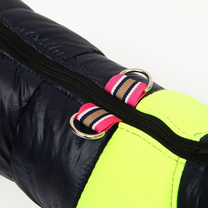 Куртка для собак на молнии, размер 8 (ДС 23 см, ОГ 30, ОШ 22 см), синяя с жёлтым Куртка для собак на молнии, размер 8 (ДС 23 см, ОГ 30, ОШ 22 см), синяя с жёлтым