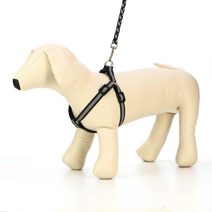 Комплект  Комплект "Плетенка", флуоресцентный, поводок 115 х 1 см, ОГ 32-48 х 1,5 см, чёрный