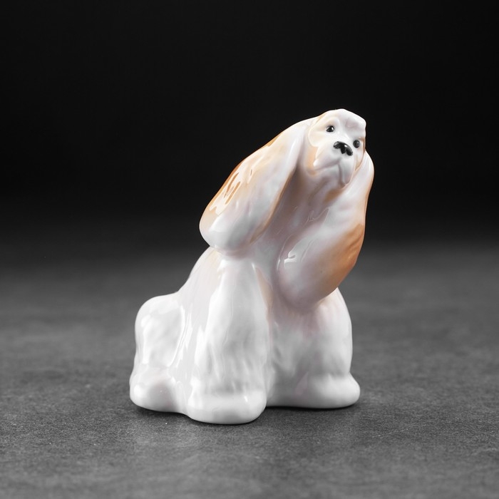 Сувенир Сувенир "Кокер сидящий", 8 х 6 х 8 см, фарфор