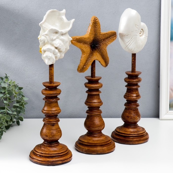 Сувенир интерьерный полистоун  Сувенир интерьерный полистоун "Ракушки" набор 3 шт 41х12х17 см