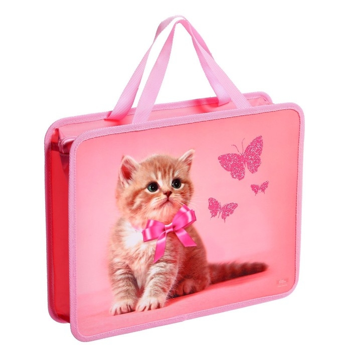 Папка с ручками А4, 330 х 260 х 75 мм, пластиковая, ручки-тесьма, Calligrata  Папка с ручками А4, 330 х 260 х 75 мм, пластиковая, ручки-тесьма, Calligrata "Котик"